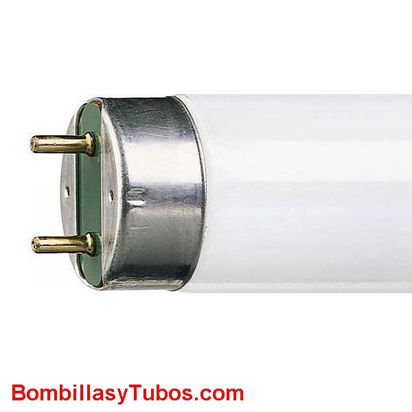 Tubo LED T8 24W, Conexión: DOS punta, Equivale tubo fluorescente 58W.